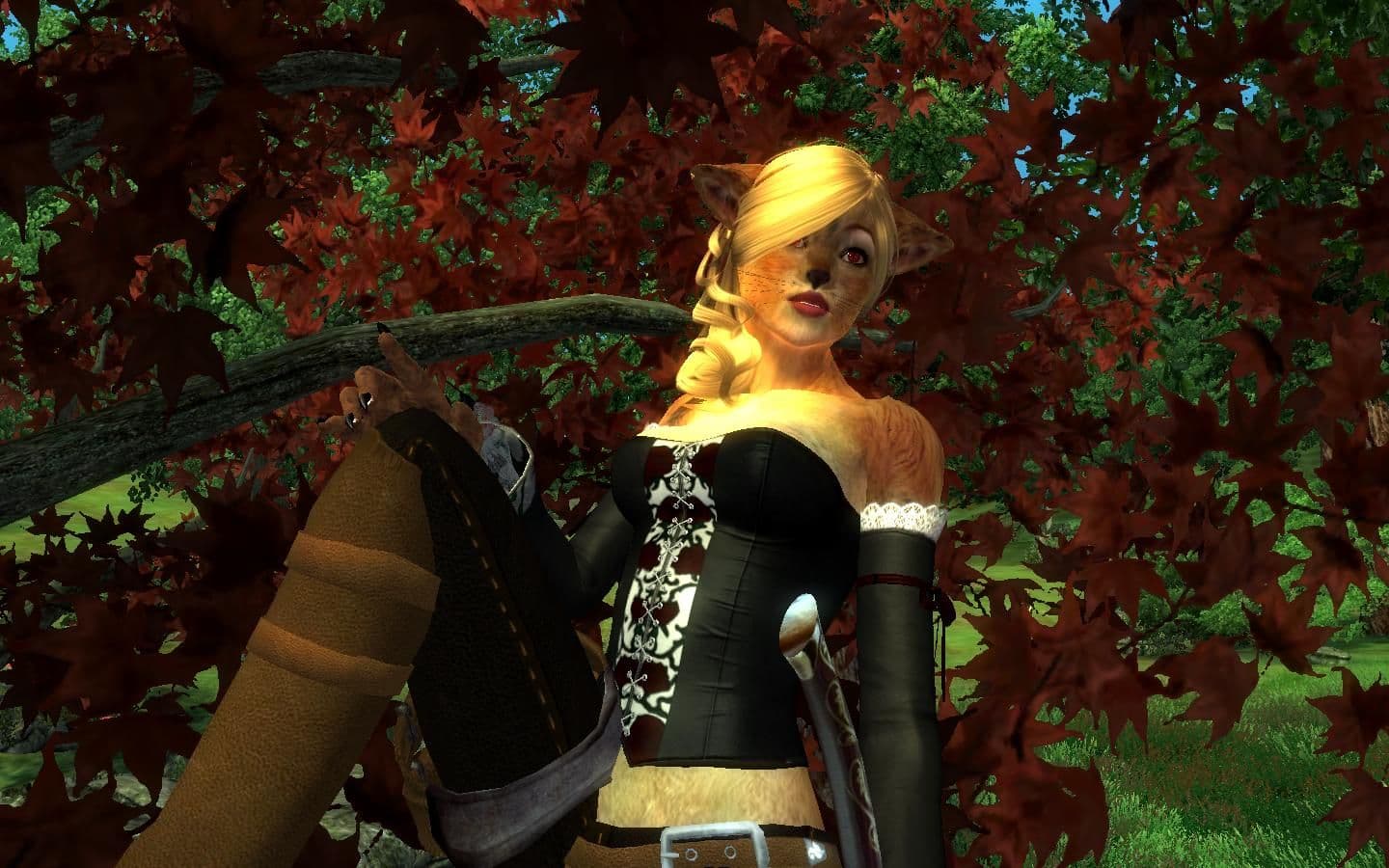 Rose Corsets for HGEC