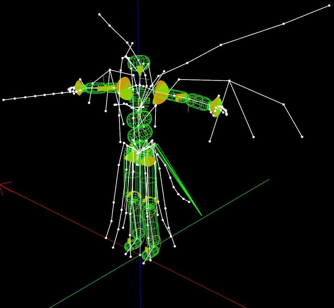 Coronerras Maximum Compatibility Skeletons