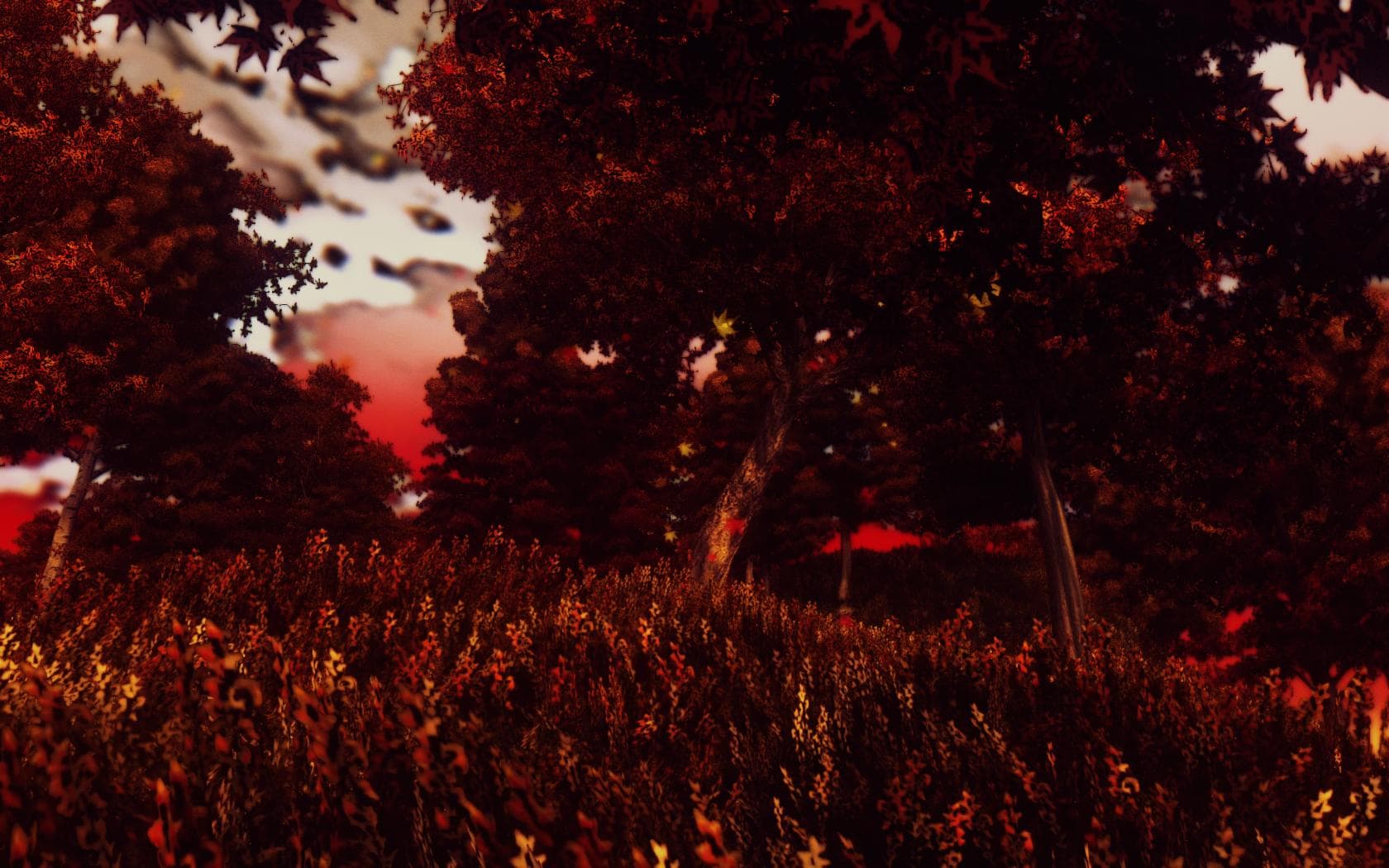 Amaterasu no Yume - The Autumn Dream