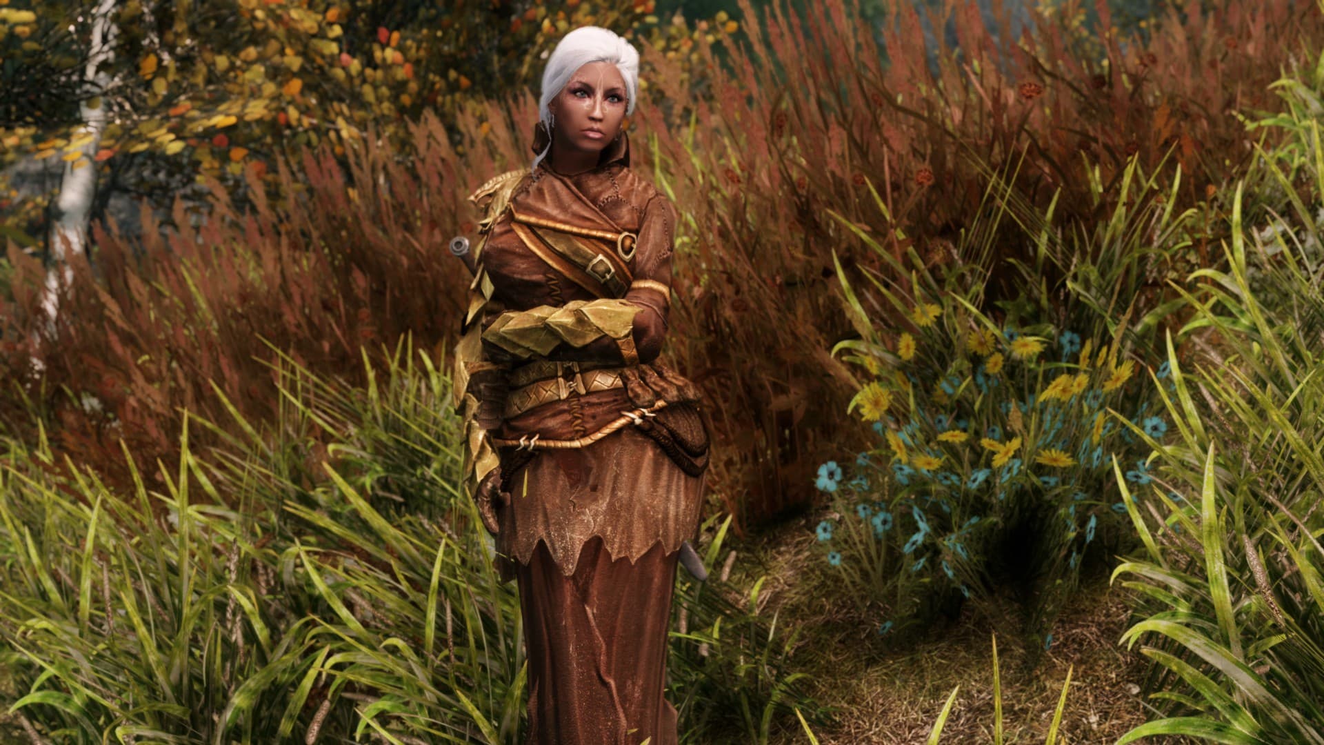 Броня из Dragonborn для тел UNP