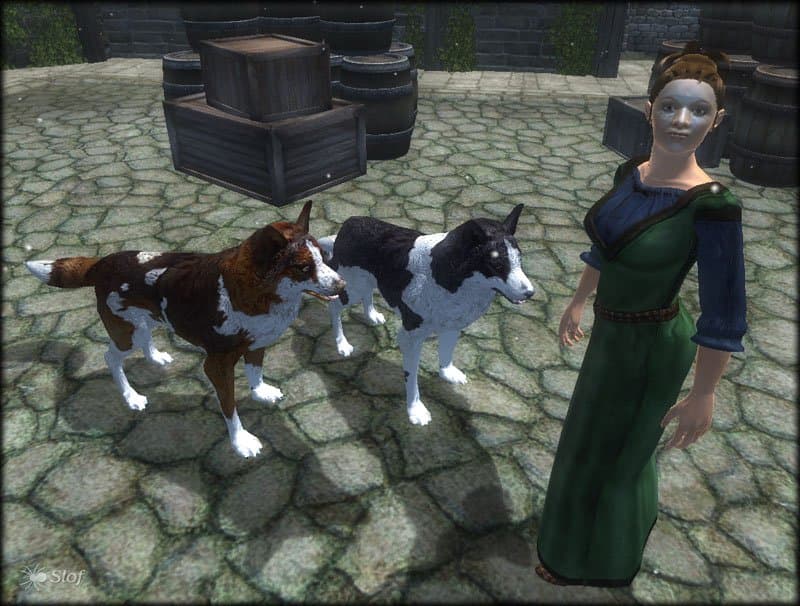 Slof's Dogs