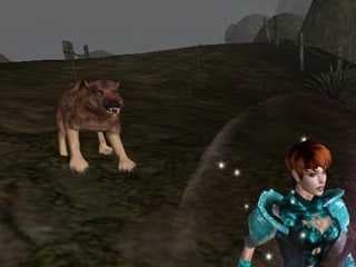 Wolf Companion