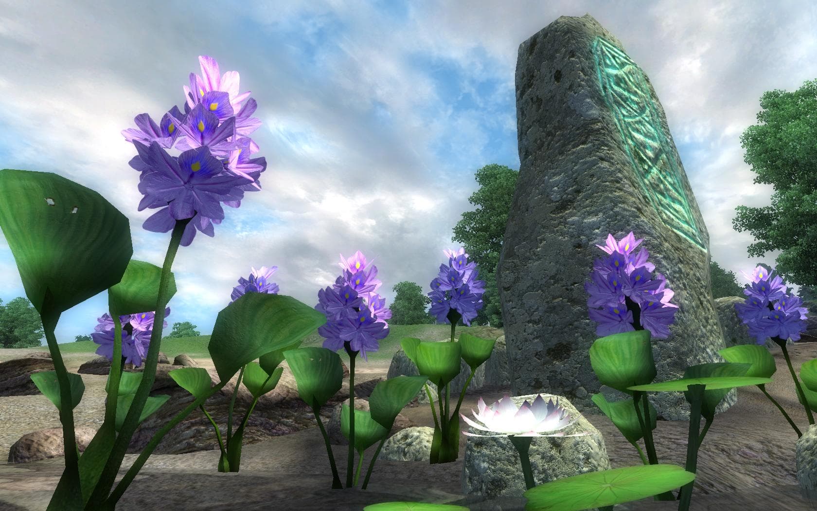 Improved Doors And Flora