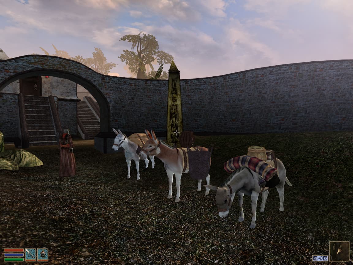 PACK DONKEYS featuring Cait's pack donkey models