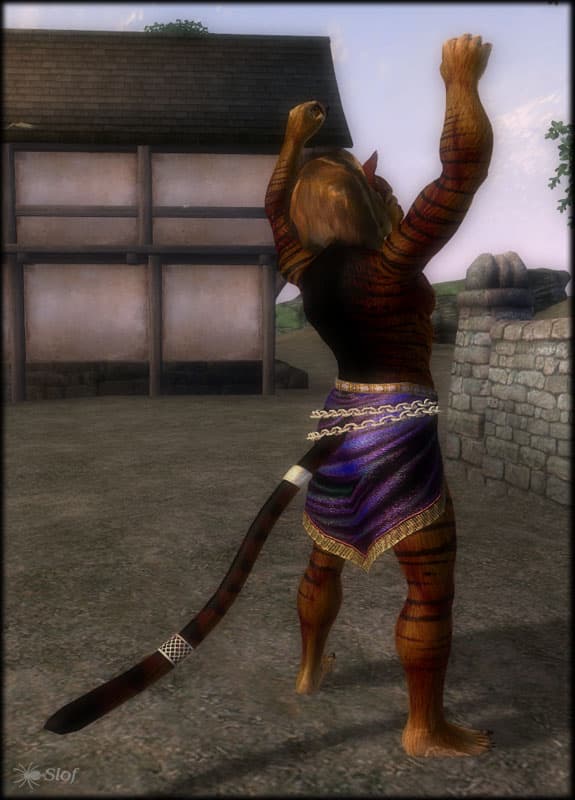 Slof's Khajiit Retexture