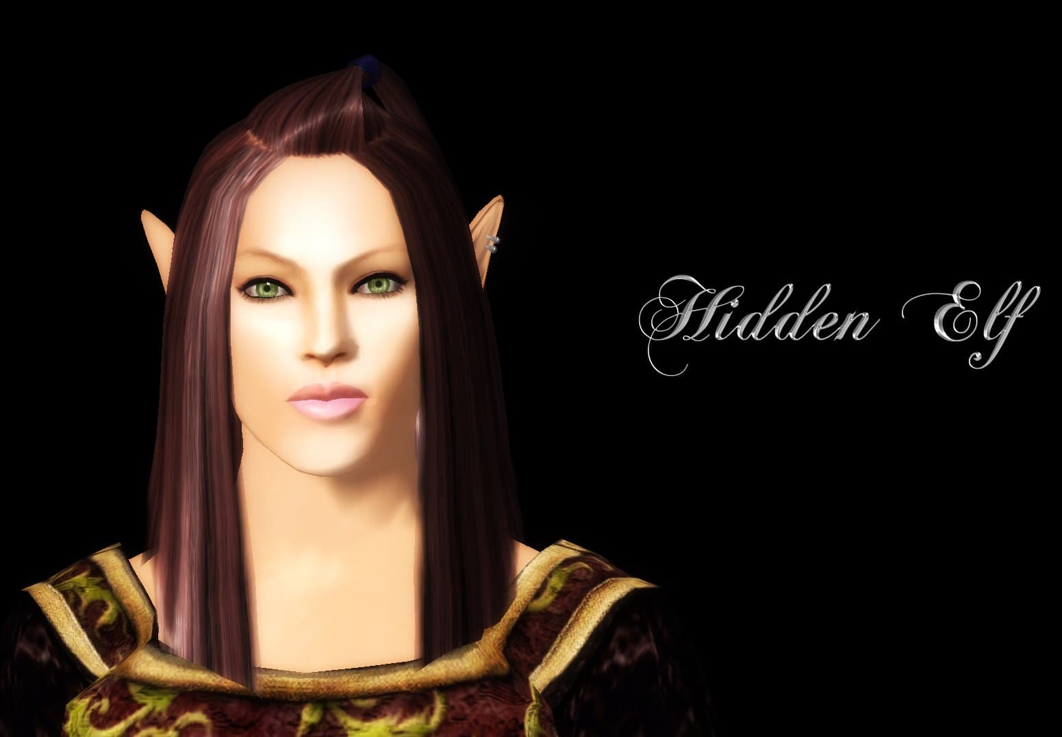 Hidden Elves