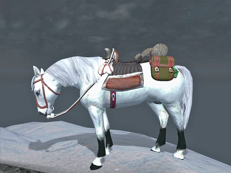 DallStallion
