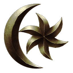 Exotic Clothes