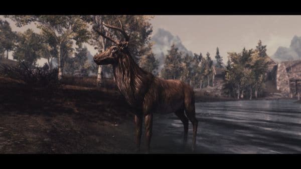 One day in Riften