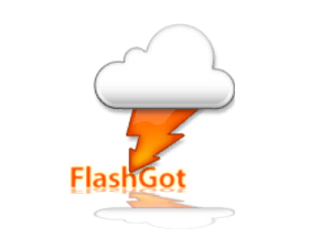 FlashGot - для закачки через Download Master