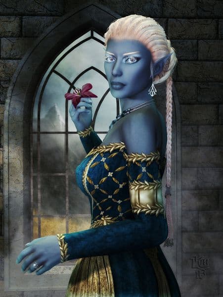 Daughters of Skyrim: The Noble