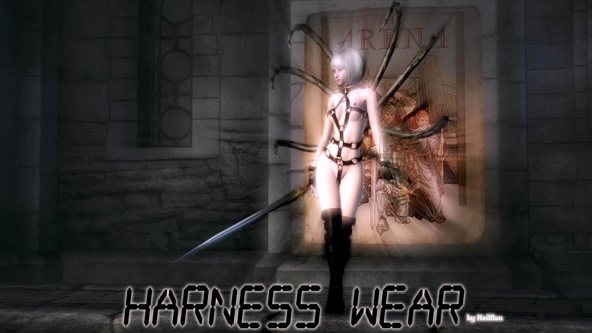 Harness wear