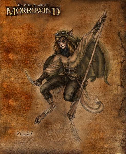 Khajiit flying