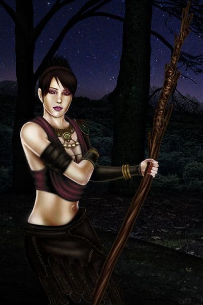 Morrigan Witch Of The Wilds