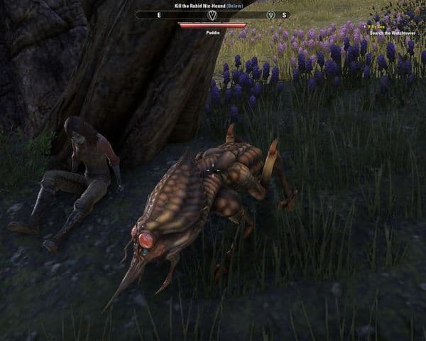TESO_Nix-Hound
