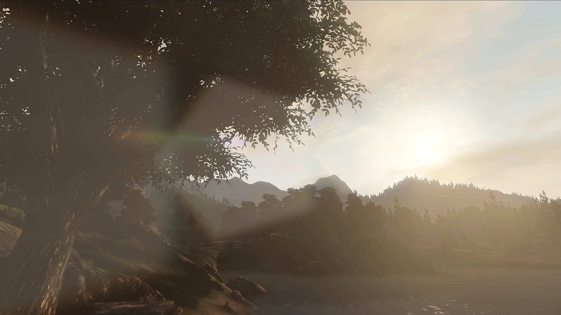 Oblivion Visual Immersion