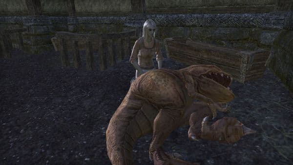 Family grief . Dead guar .