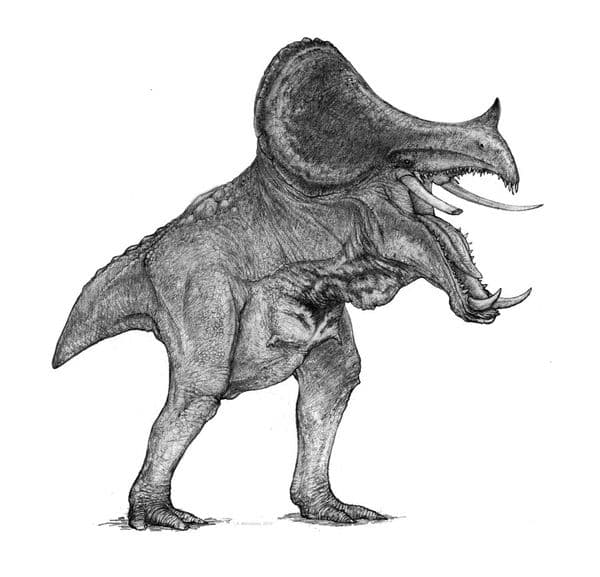 Kagouti