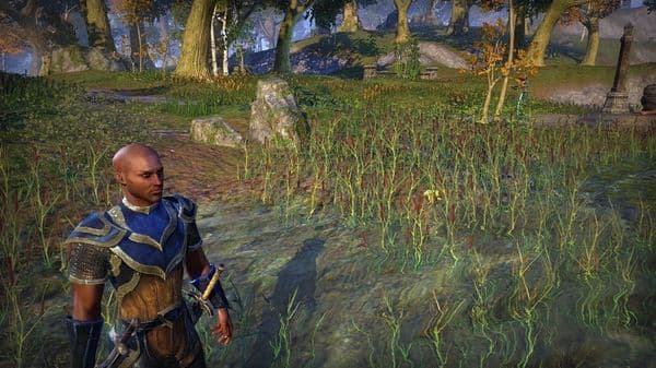 Kamerun. The Templar