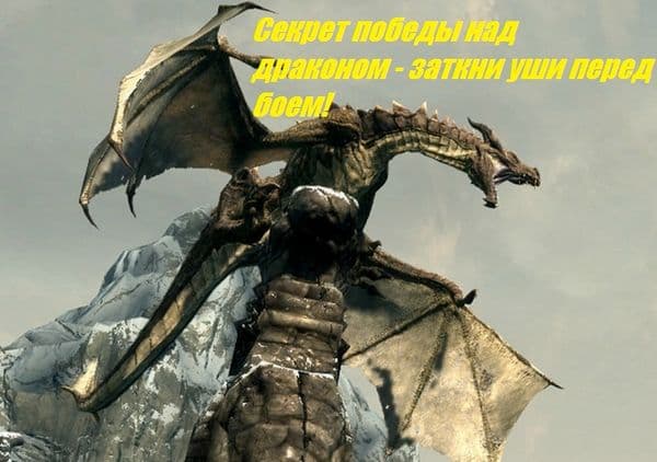 Довакинам на заметку