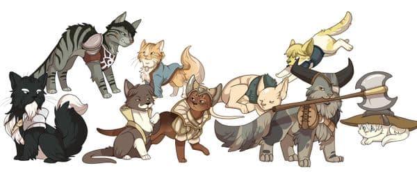Catquisition