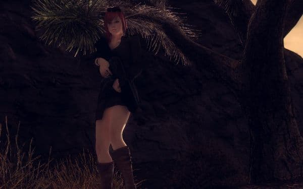 FalloutNV 2015 04 18 10 52 16 46
