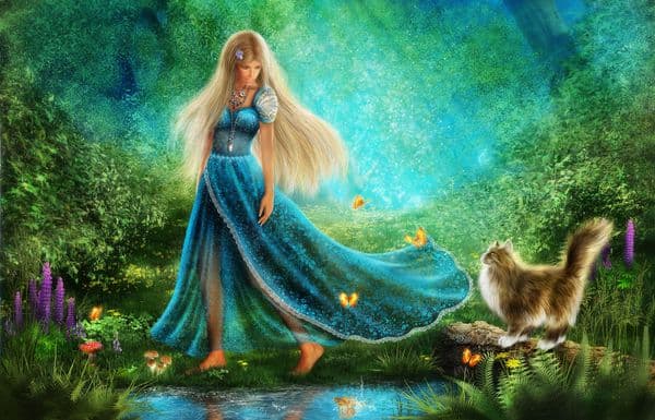 Walk at the Forest of Wonders