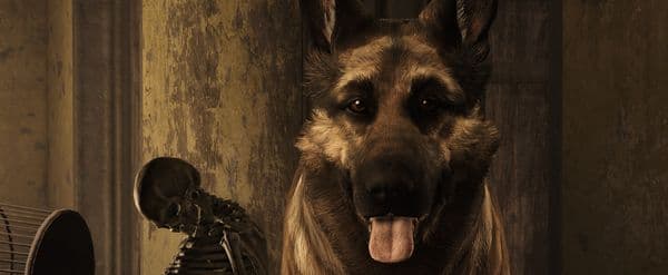 Fallout 4