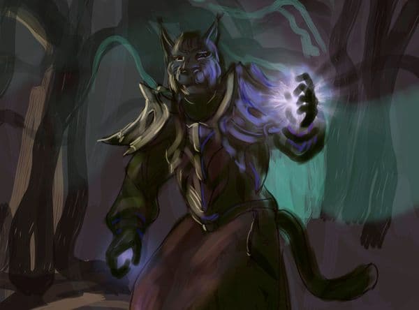 Cat magician