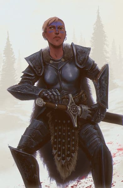 Skyrim Character Thing