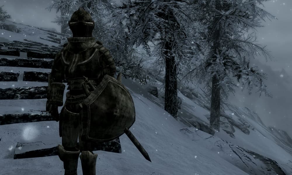 DwarvenRideChaserRideArmor