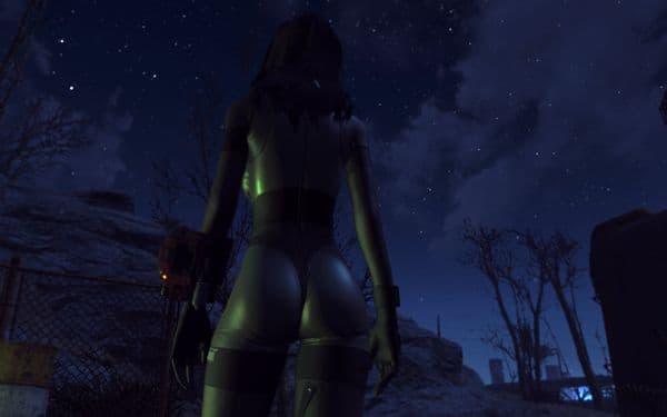 Fallout4