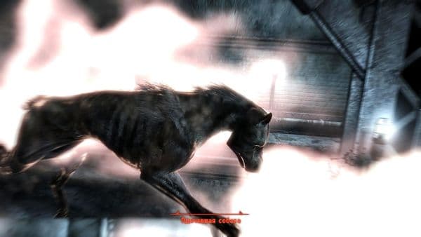 FalloutNV 2016 07 01 15 44 06 68