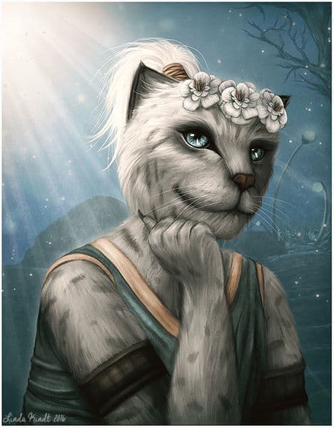 Daro'dra