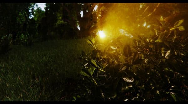 Oblivion