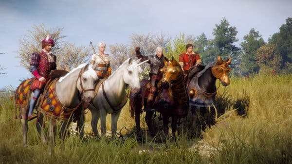 The Witcher