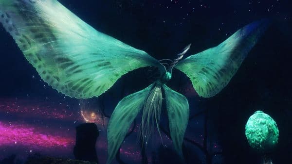 Moonlight Butterfly
