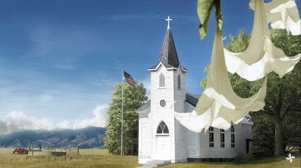 Far Cry 5, part 2