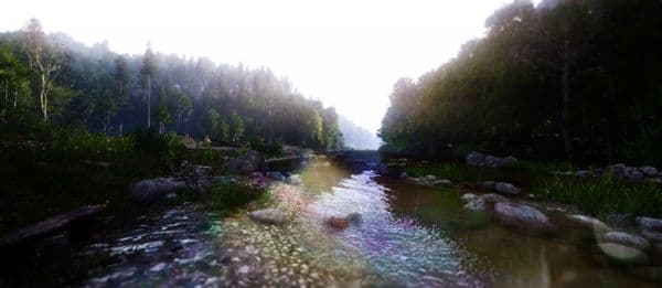 Nature