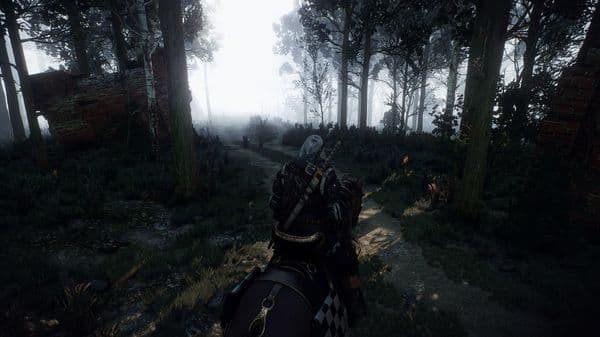 The Witcher 3 2019.02.12 21.31.50.91