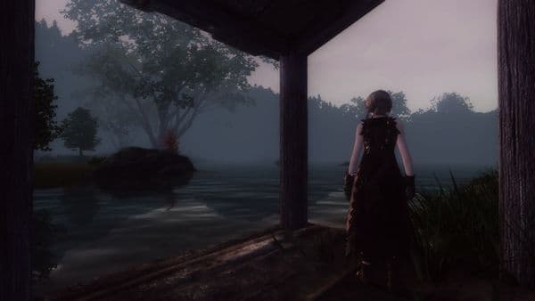 Misty evening