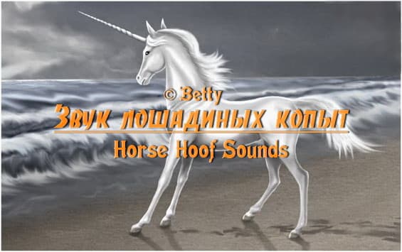 Звук лошадиных копыт