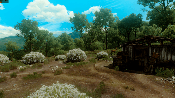 The Witcher 3 Screenshot 2019.09.18 23.12.30.61