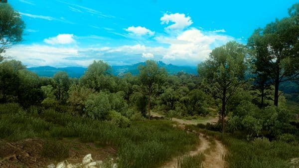 The Witcher 3 Super Resolution 2019.09.18 23.07.52.64