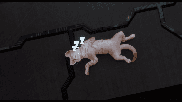 Котики