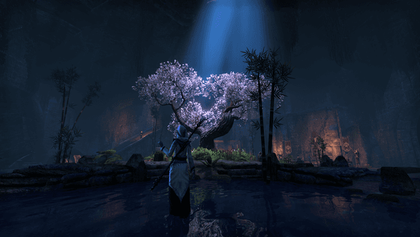 Screenshot 20200607 214509
