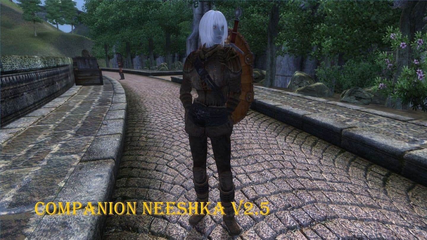 Companion Neeshka