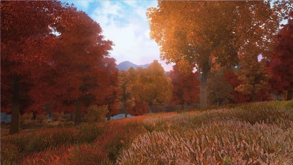 Autumn landscape