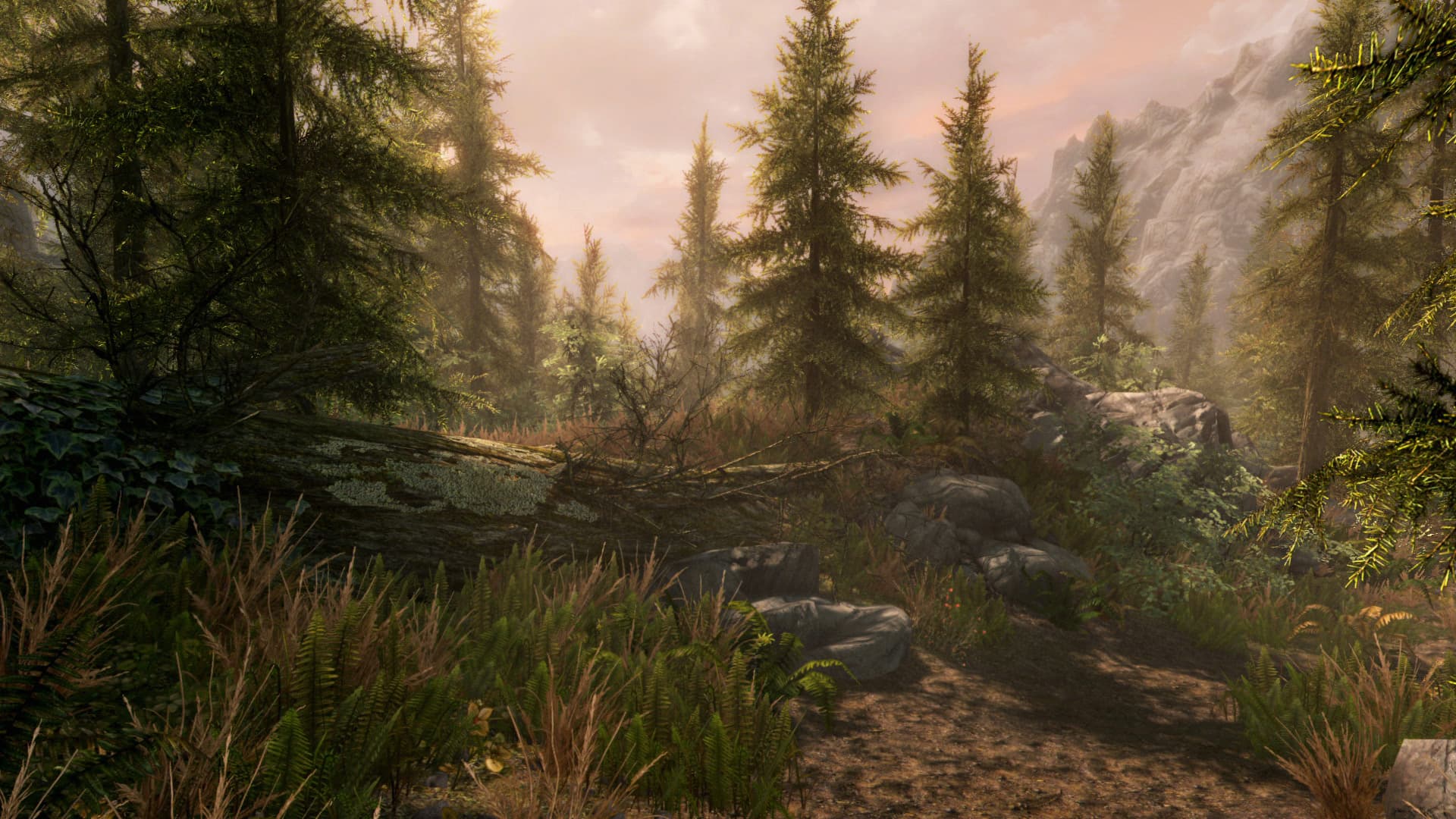 The Game Awards 2023 и обновление Skyrim SE