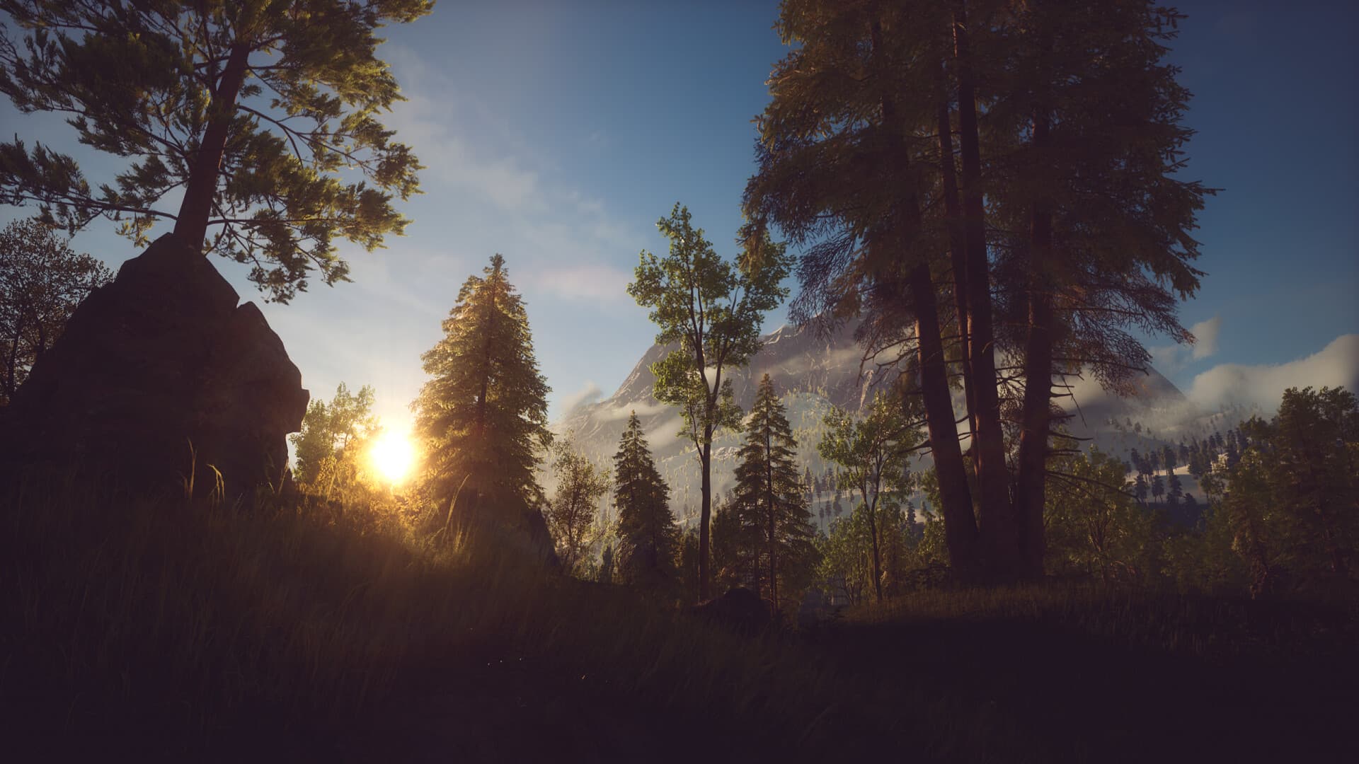 Подробности The Wayward Realms от разработчиков Elder Scrolls